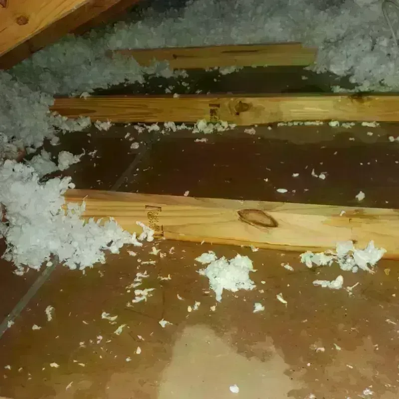 Attic Water Damage in Paulding, OH