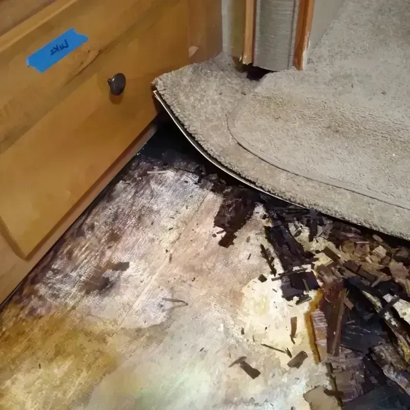 Wood Floor Water Damage in Paulding, OH